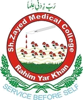 Sheikh Zayed Medical College Rahim Yar Khan Jobs 2025